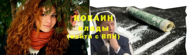 2c-b Горняк