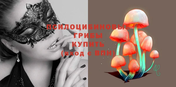 бошки Горнозаводск