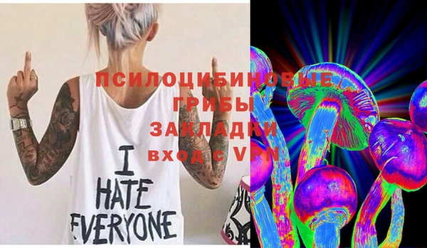 2c-b Горняк