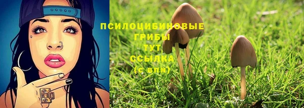2c-b Горняк